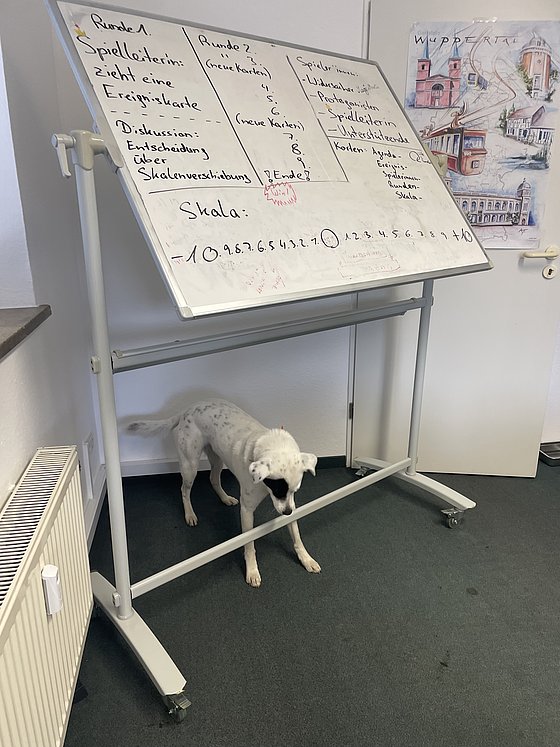 Unter einem schräg stehenden Whiteboard, auf dem ein Entwurf für das Planspiel zu sehen ist, steht ein weißer Hund mit schwarzen Punkten.