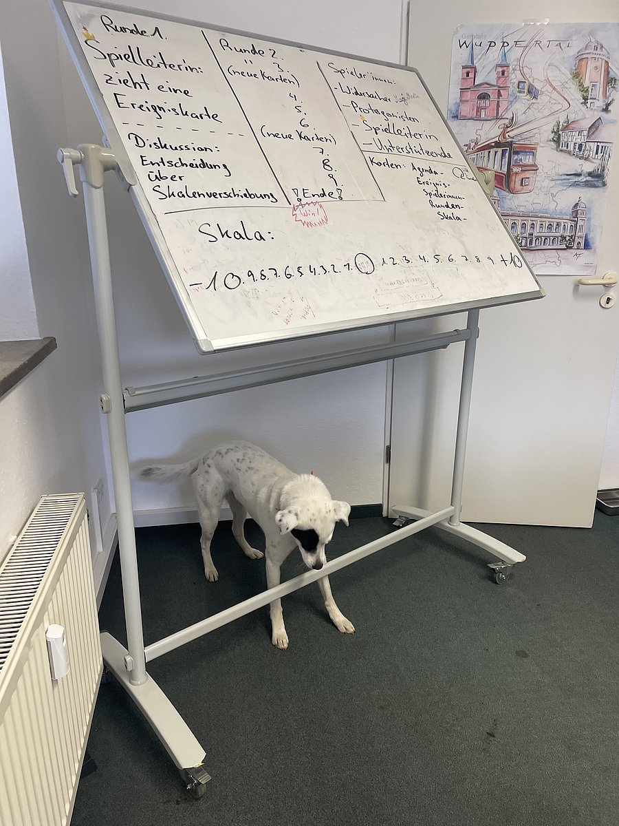 Unter einem schräg stehenden Whiteboard, auf dem ein Entwurf für das Planspiel zu sehen ist, steht ein weißer Hund mit schwarzen Punkten.
